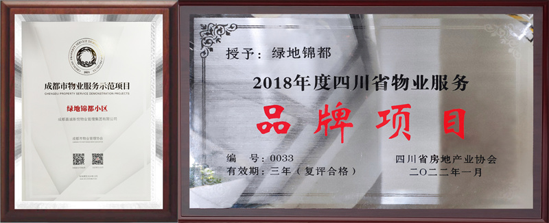 獎(jiǎng)項(xiàng) 獎(jiǎng)項(xiàng)